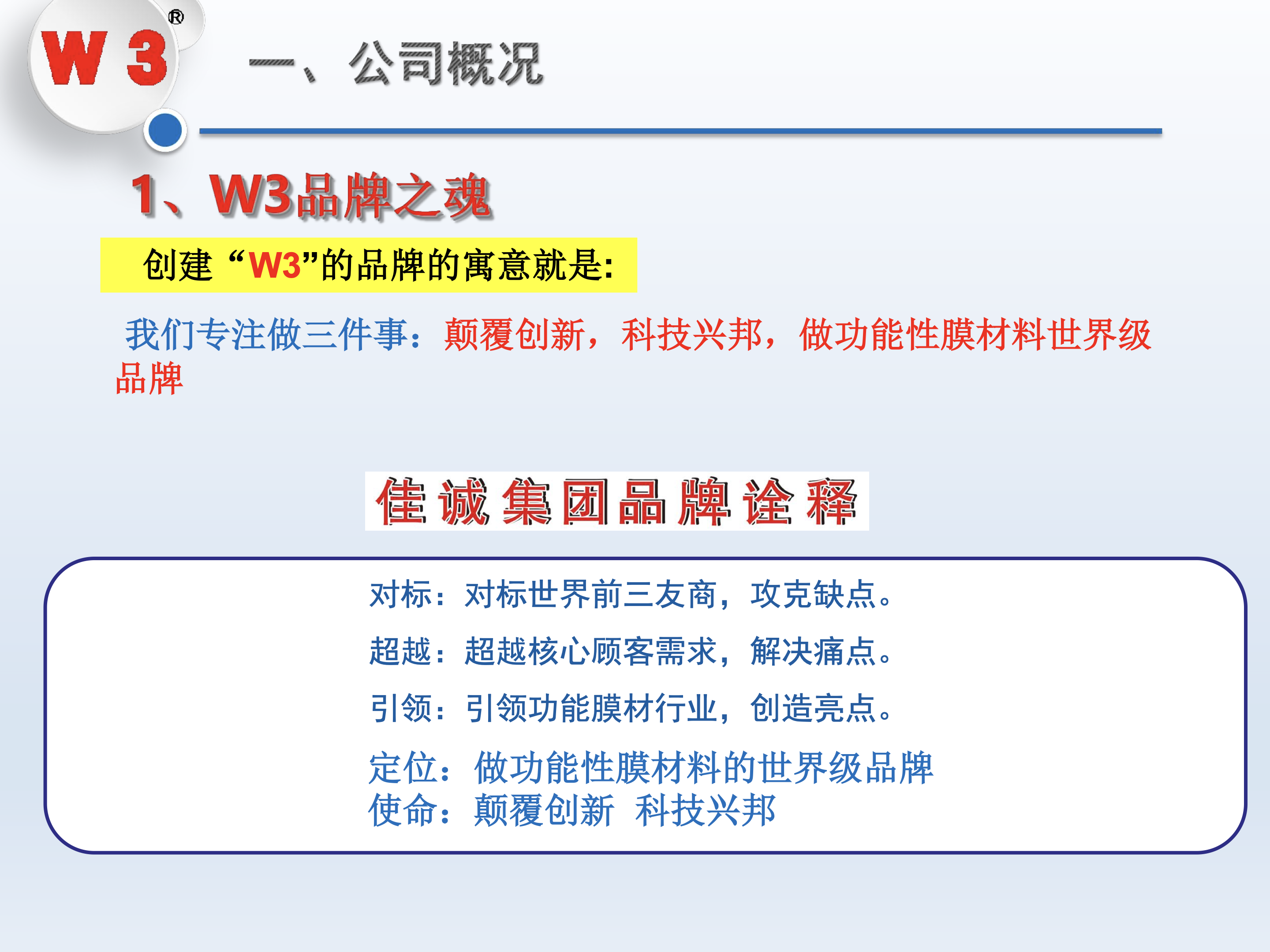 企业概况与品牌定位 第4页