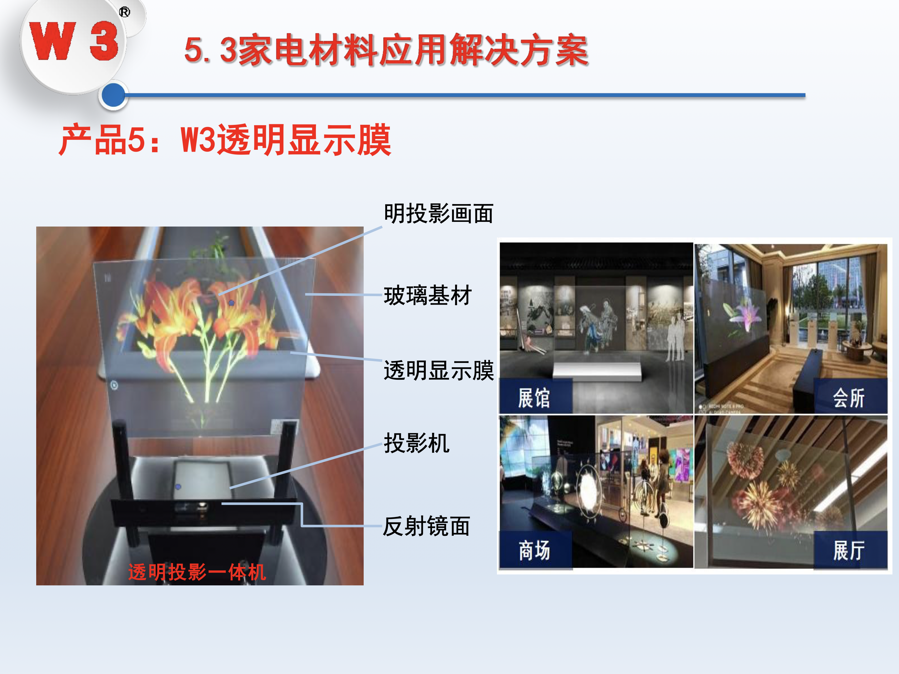 W3透明显示膜